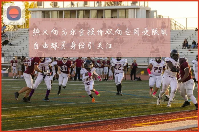 热火向戈尔金报价双向合同受限制自由球员身份引关注