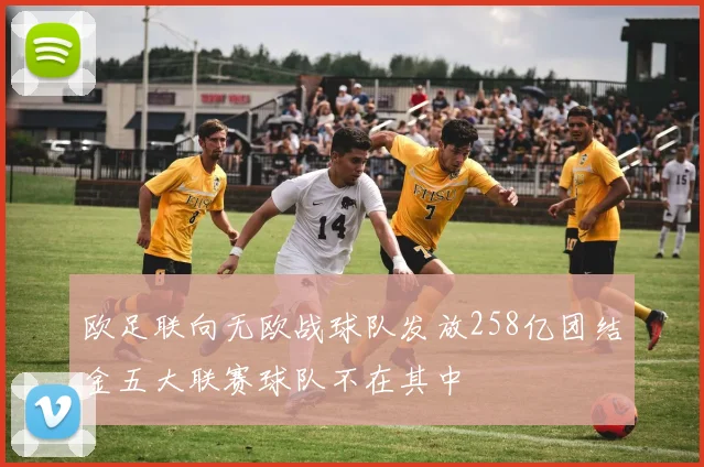 欧足联向无欧战球队发放258亿团结金五大联赛球队不在其中
